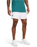 UA IconVolley Shorts 1377191-100