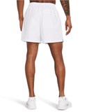 UA IconVolley Shorts 1377191-100