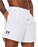 UA IconVolley Shorts 1377191-100