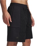 Curry WovenShorts 1390347-001