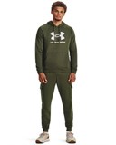 UA Rival FleeceLogo Hoodie 1379758-390