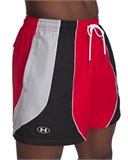 UA Icon ColorblockVolley Shorts 1390239-600