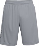 UA Tech™ GraphicShorts 1306443-035