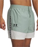 UA Terrace96 WovenShorts 1387924-348