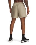 UA IconVolley Shorts 1377191-300