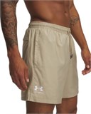 UA IconVolley Shorts 1377191-300