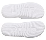 UA Ignite Pro 8Slides 6000337-100