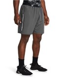 UA Tech™ Woven WordmarkShorts 1383356-025