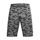Шорты Tech Printed Shorts 1376945-025