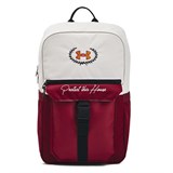 Рюкзак Triumph Campus 1384462-114