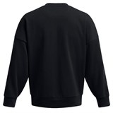 Толстовка  UA  ICON HWT TERRY 1386548-001-1