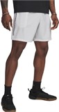 Under Armour Шорты UA Tech Woven Wordmark Short 1383356-023-lst