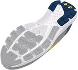 Under Armour Кроссовки UA Charged Rogue 3 3024877-101-lst