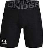 Under Armour Шорты HeatGear Shorts 1361596-001-lst
