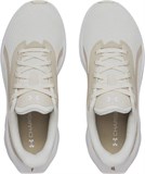 Under Armour Кроссовки UA W Ascend 6009828-110-lst